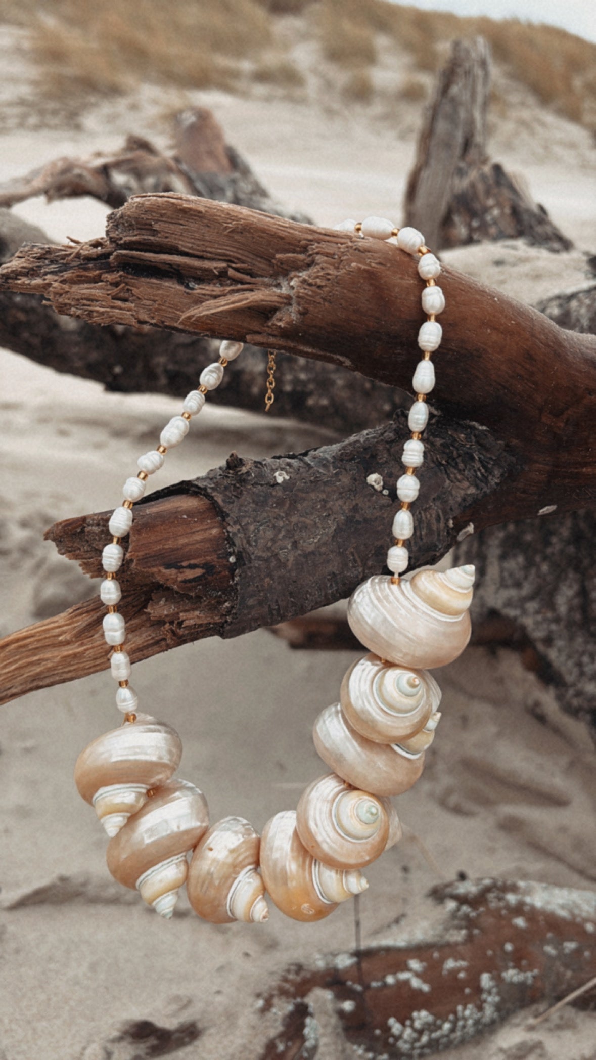 Collier COQUILLAGE