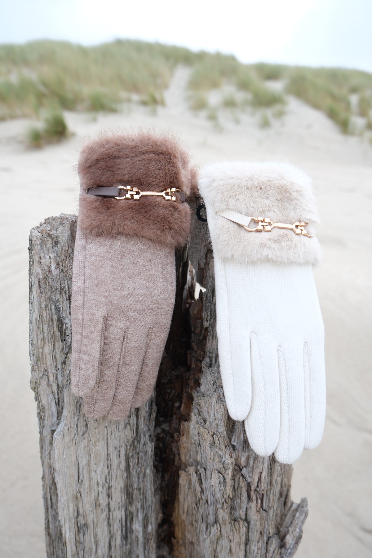 Gants ISOLDE