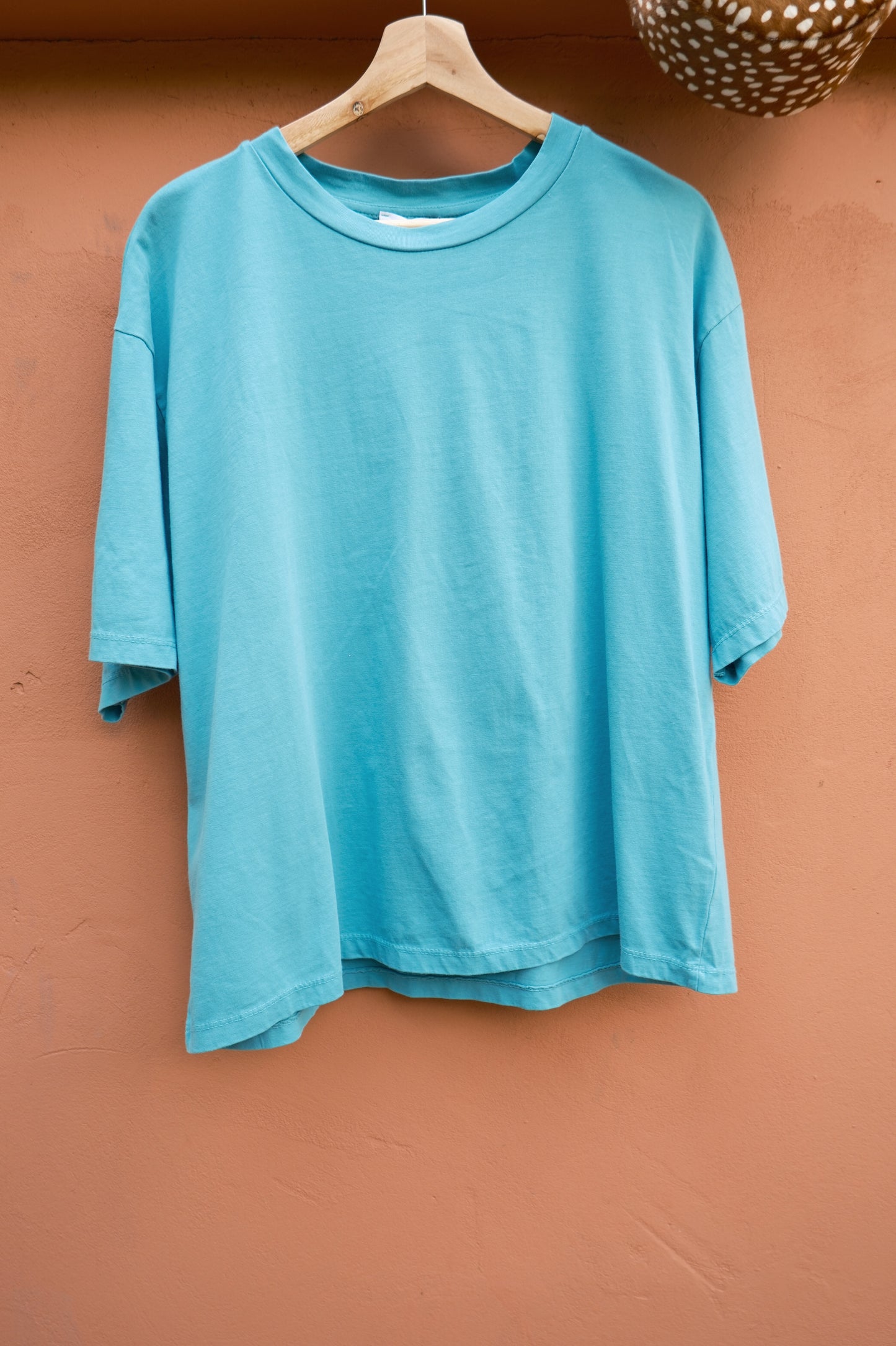 T shirt PIA