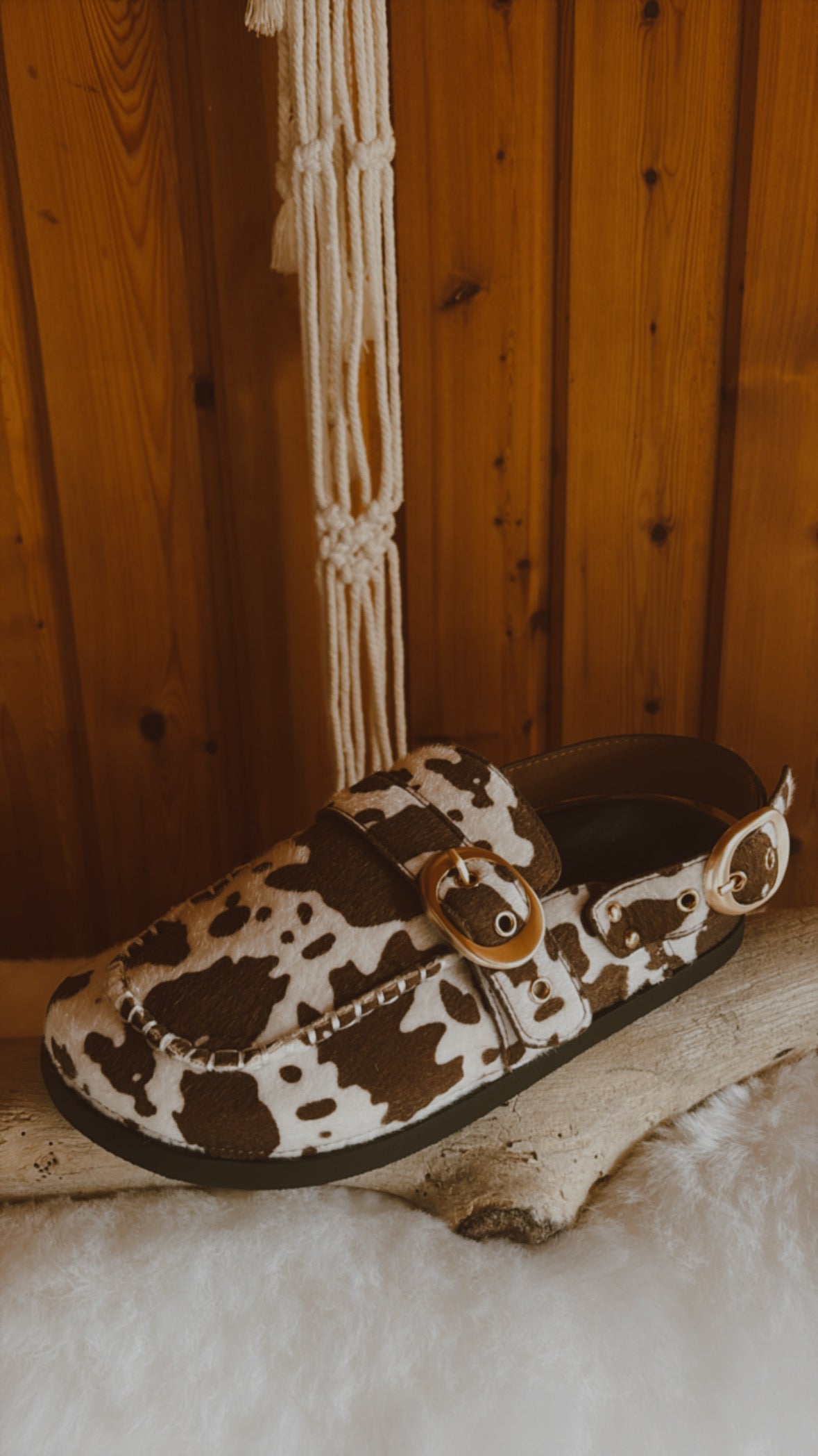 Mules COW