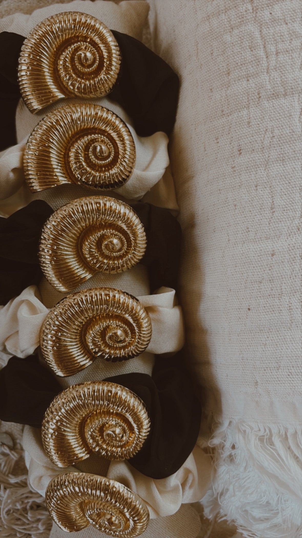 Chouchou SHELL