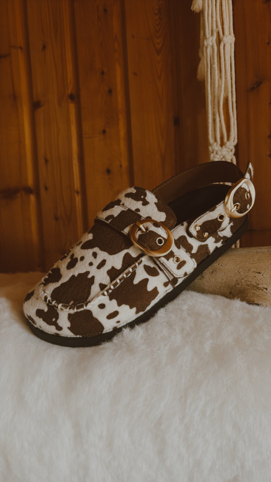 Mules COW
