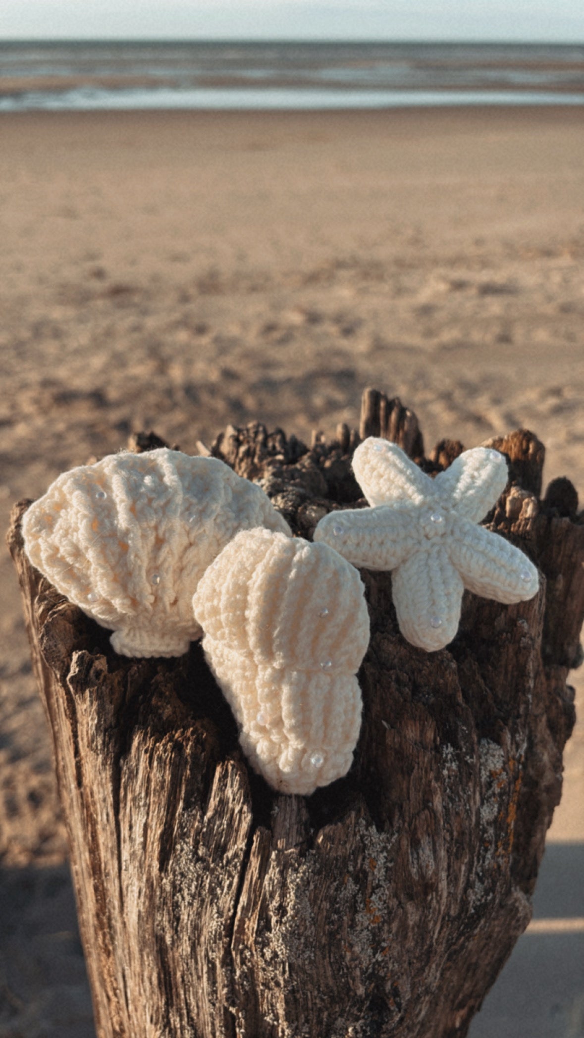 Broche SEA