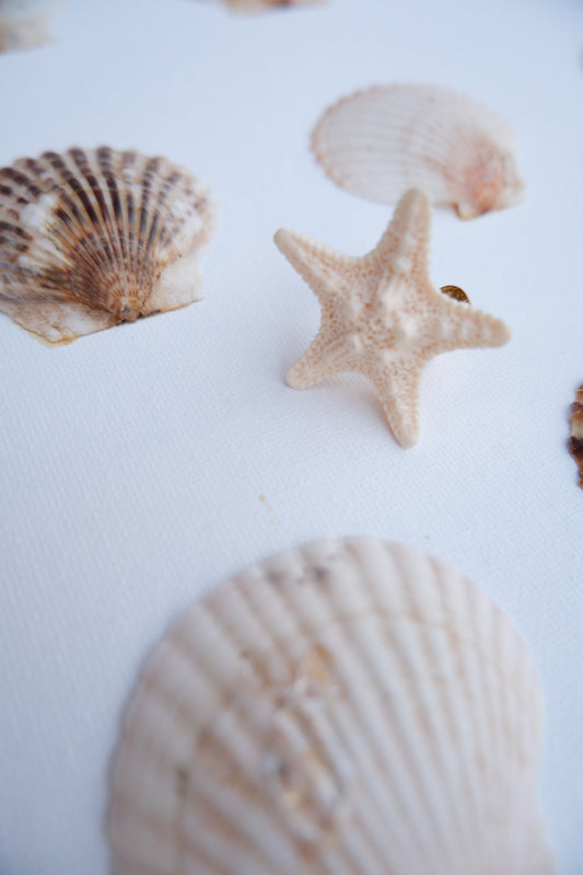 Bague NOBILIS